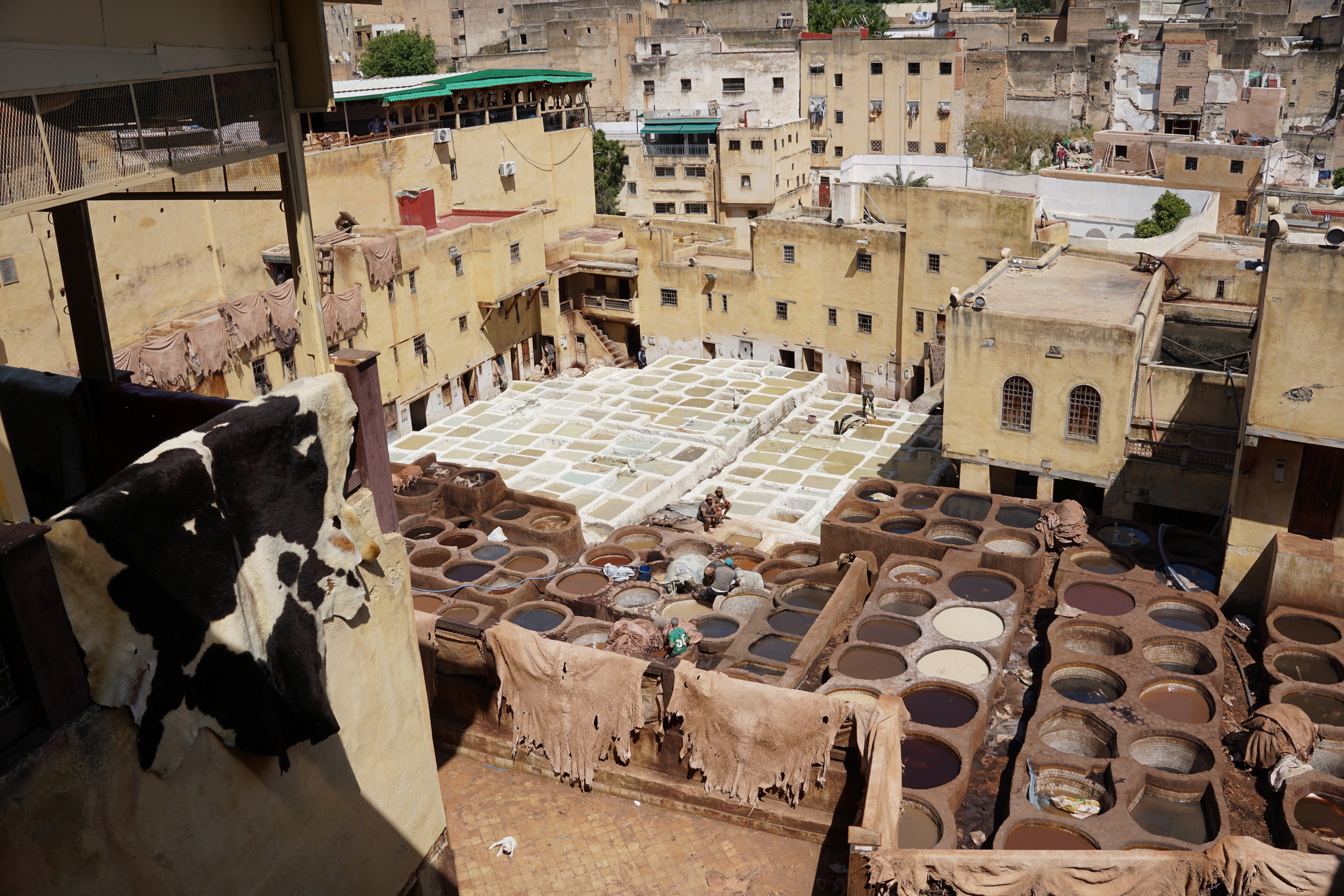 Fes Tanneries