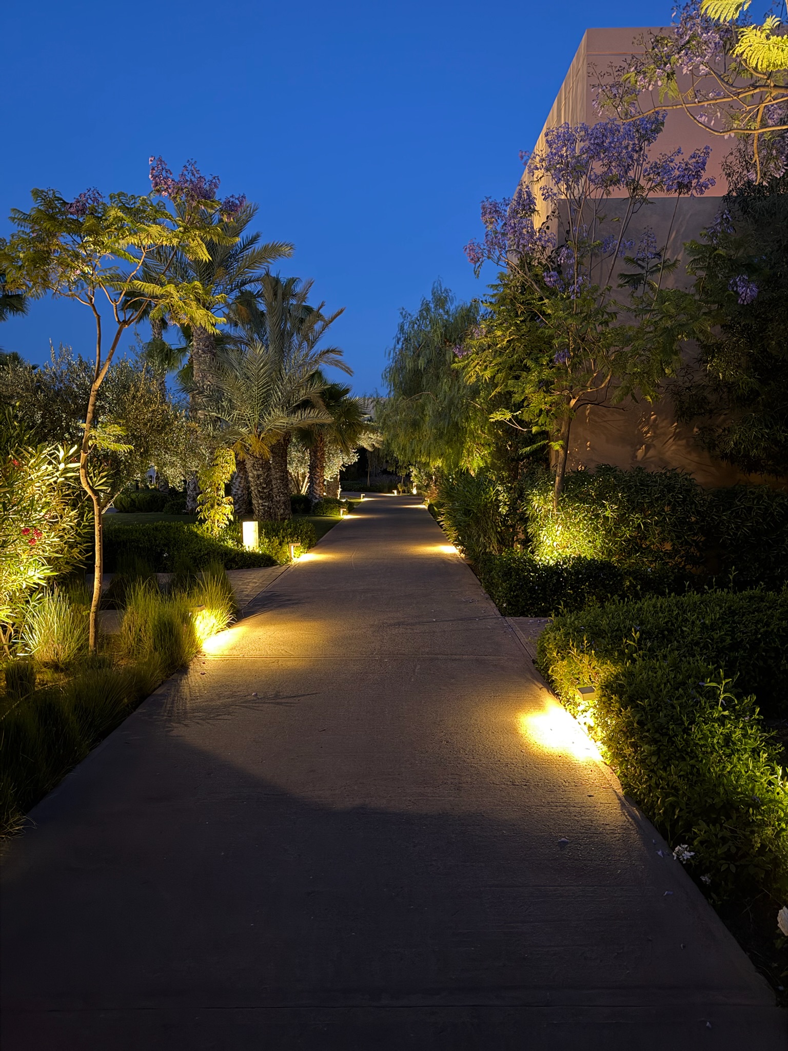 Park Hyatt Garden