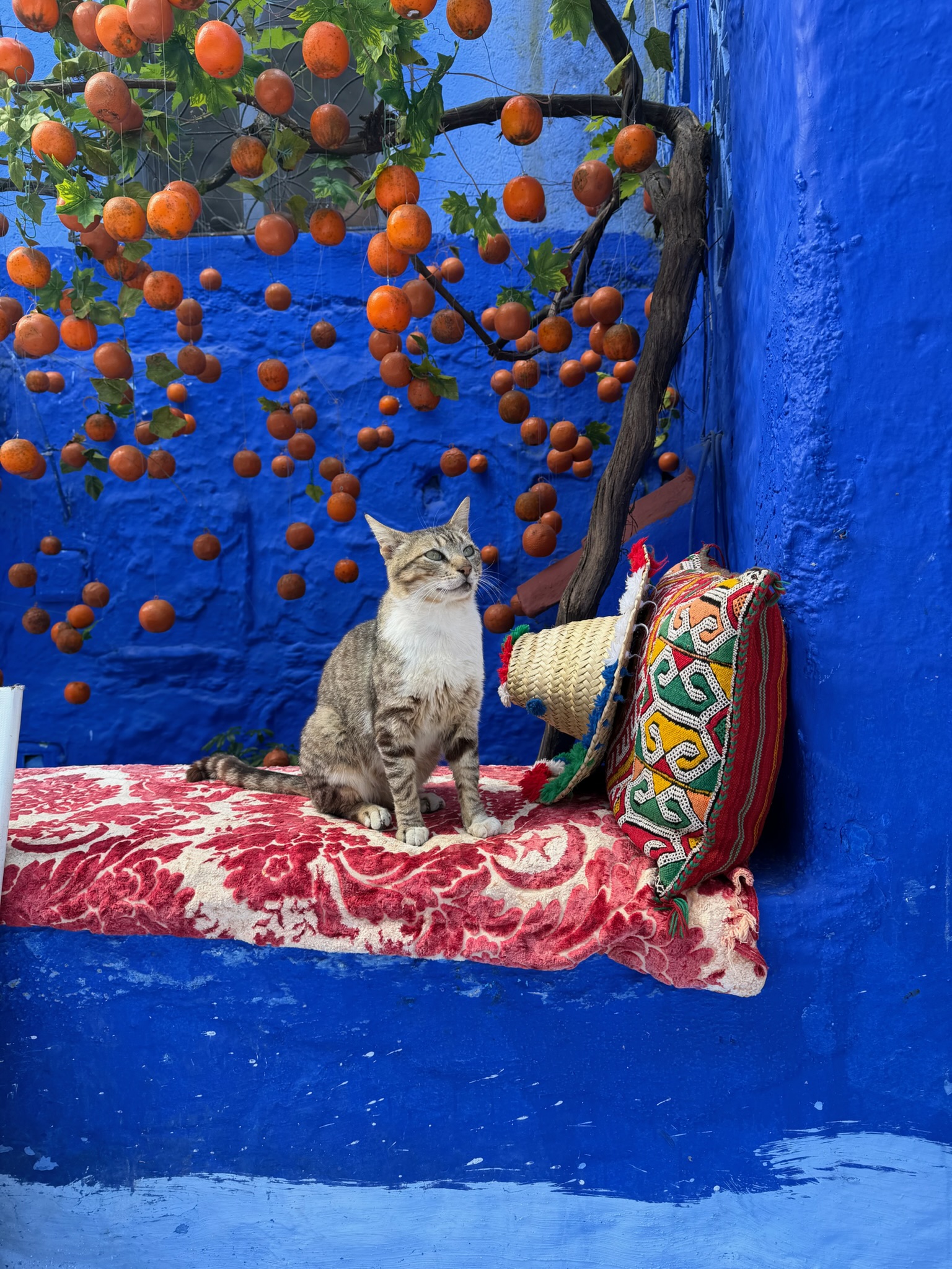 Morocco
